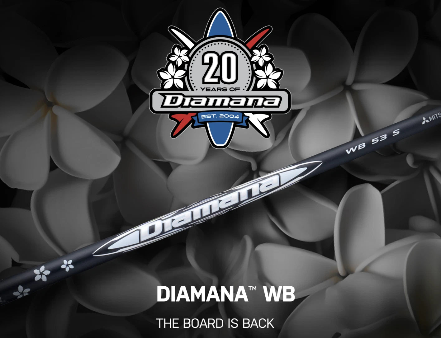 Mitsubishi Chemical Diamana WB Shaft 2024