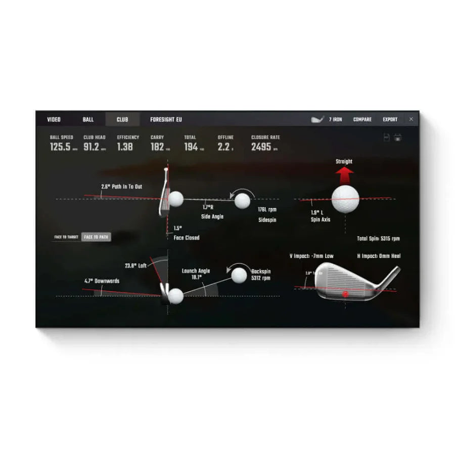 Golf Club Assessment &  Fitting